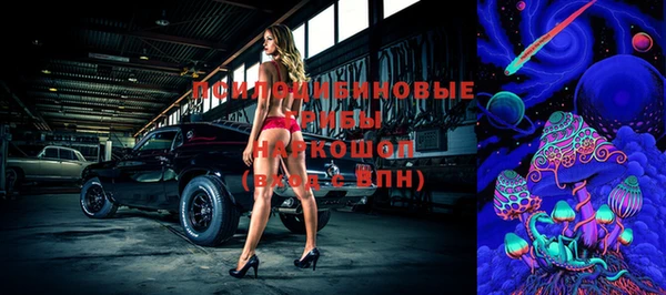 эйфоретик Новозыбков