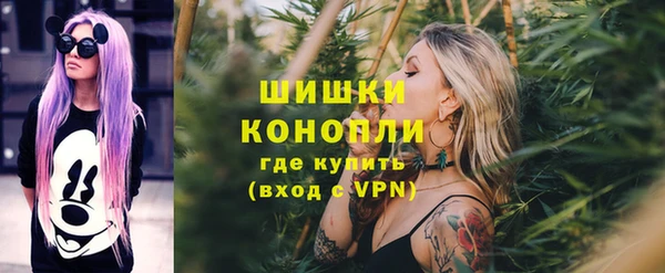 эйфоретик Новозыбков