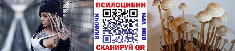 Галлюциногенные грибы Psilocybine cubensis  магазин продажи наркотиков  Холмск 
